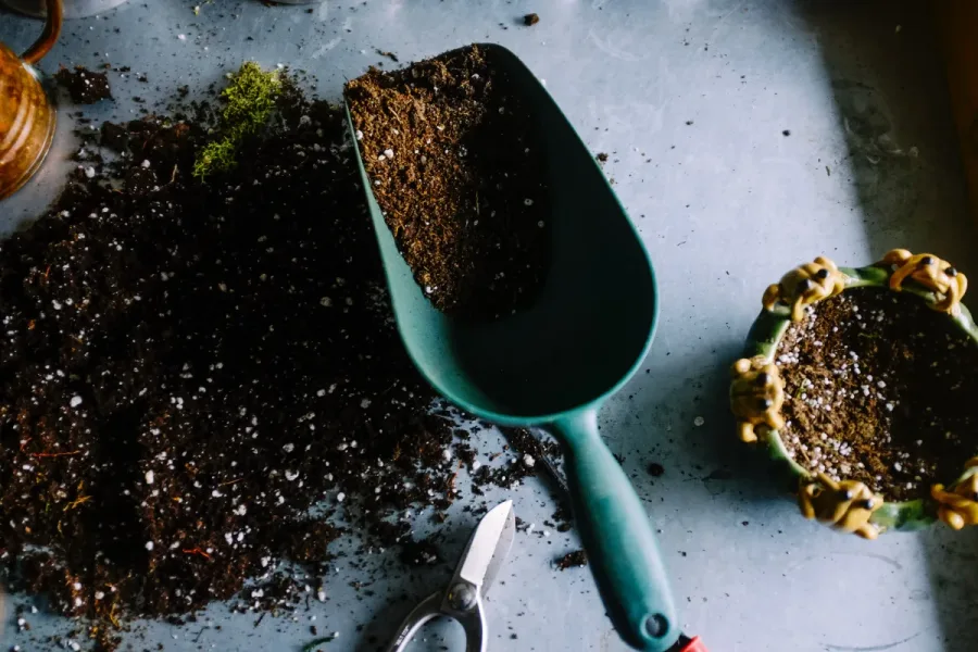 Transplantoir de jardin remplissant un pot de terreau